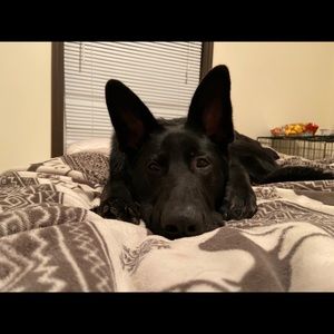 Meet your Posher, Deja